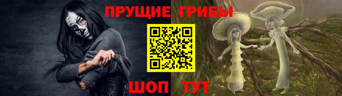 Псилоцибиновые грибы GOLDEN TEACHER  Вход с VPN  Выкса  Псилоцибиновые грибы MAGIC MUSHROOMS 