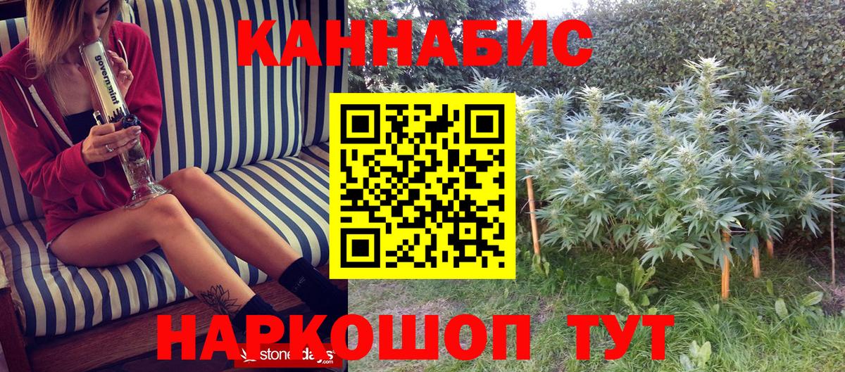 Бошки Шишки конопля  Вход с VPN  Конопля Ganja  Выкса 